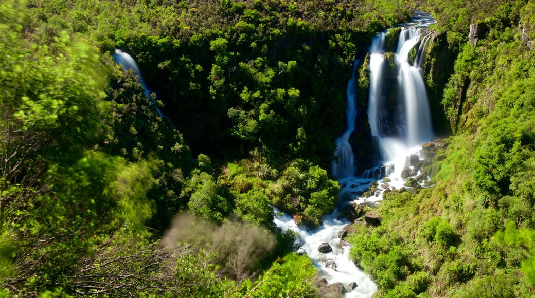 Waipunga Falls featuring forests, a river or creek and a waterfall
