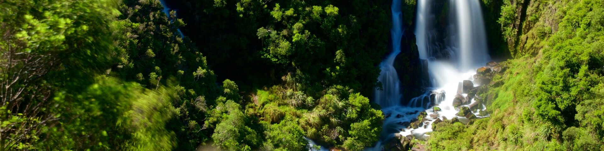 Waipunga Falls featuring forests, a river or creek and a waterfall