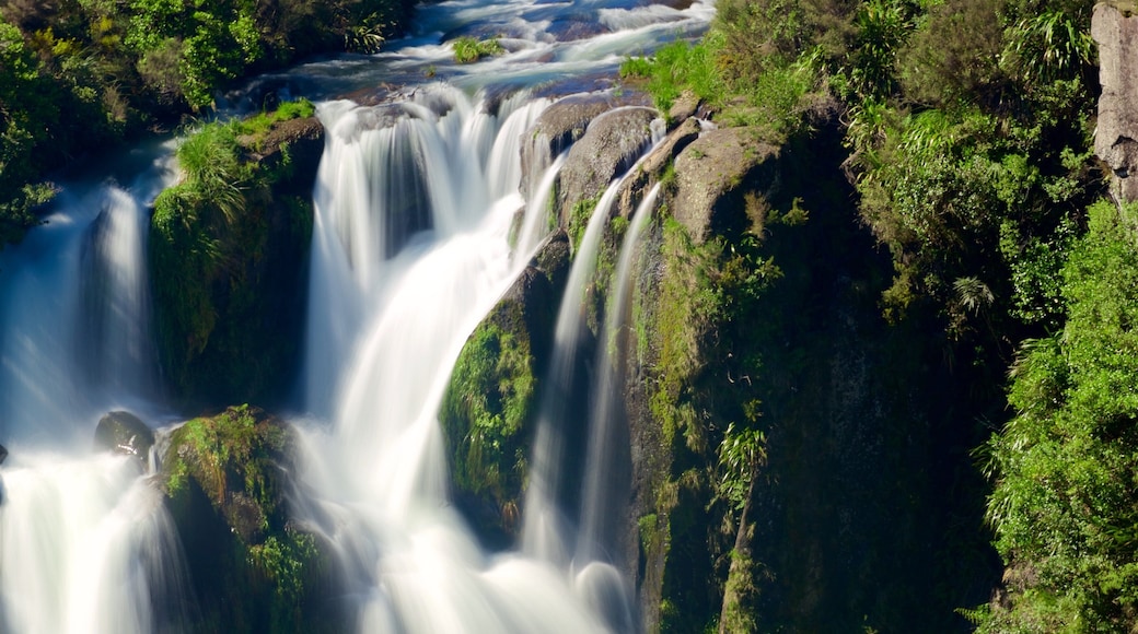 ワイプンガ滝 表示 滝 と 河あるいは小川