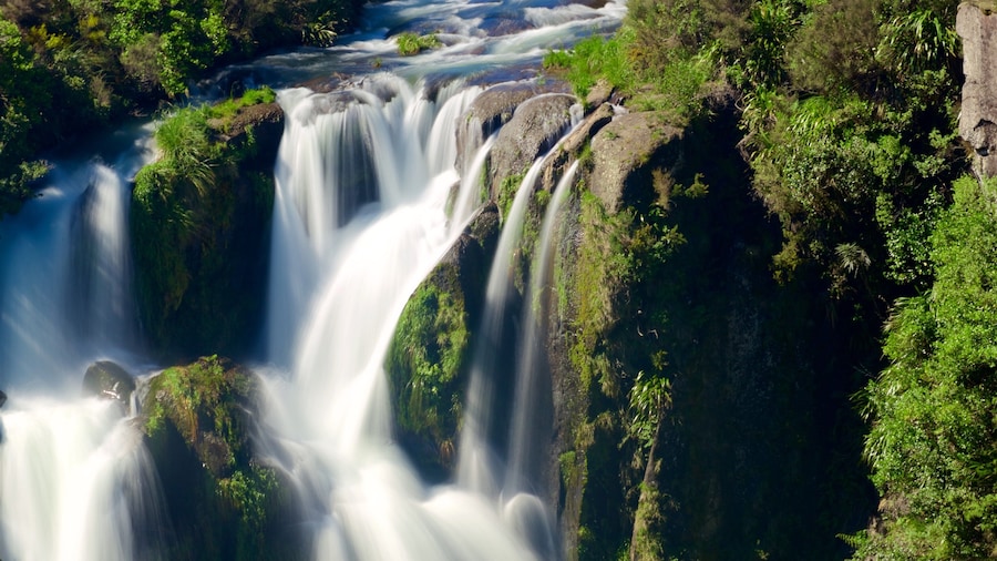 Thác Waipunga cho thấy sông lạch và thác