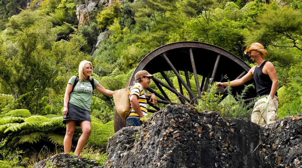 Gorge de Karangahake qui includes scÚnes forestiÚres et randonnée ou marche à pied aussi bien que petit groupe de personnes