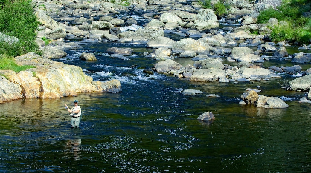 Karangahake Gorge showing fishing and a river or creek as well as an individual male