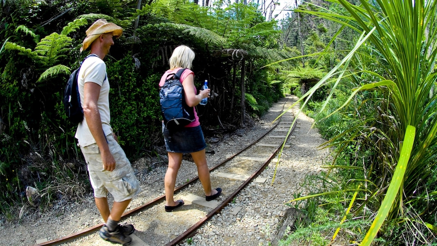 Dos personas caminando sobre una vía de tren rodeadas de abundante vegetación y helechos.
