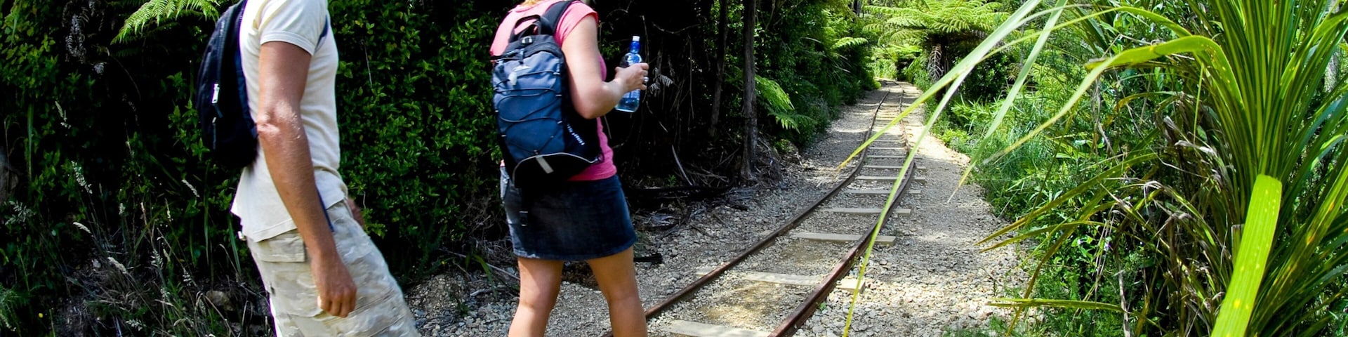 Dos personas caminando sobre una vía de tren rodeadas de abundante vegetación y helechos.