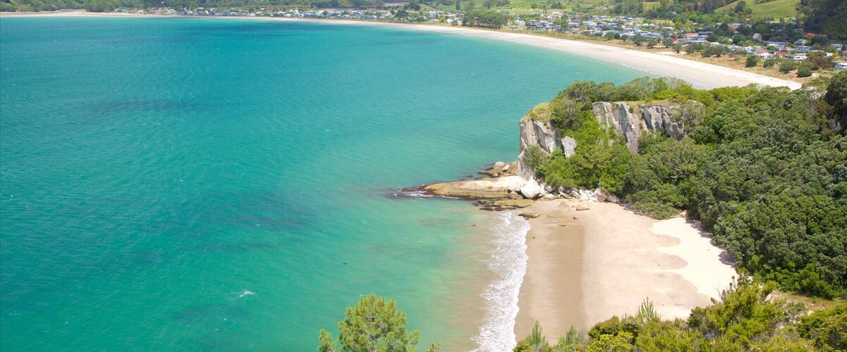 Lonely Bay Beach showing a coastal town, a bay or harbor and rugged coastline