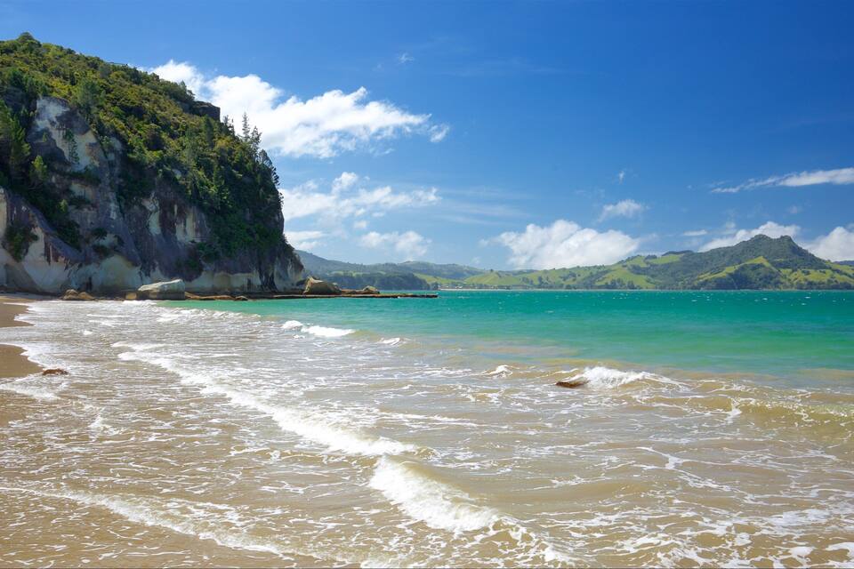 A beach with turquoise waters, sandy shore, and a green cliff.