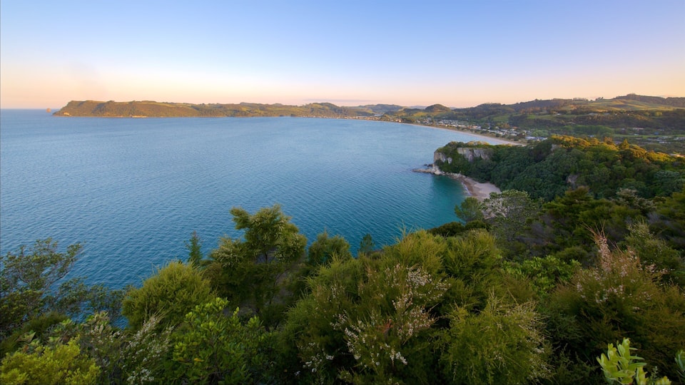 A coastal landscape with a clear view of the sea, a sandy beach, and a densely forested area.