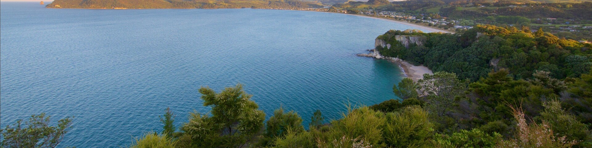 Whitianga mostrando una ciudad costera, una bahía o un puerto y imágenes de bosques