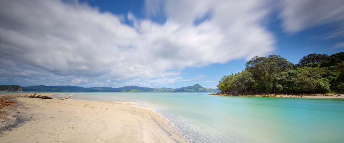 Cooks Beach