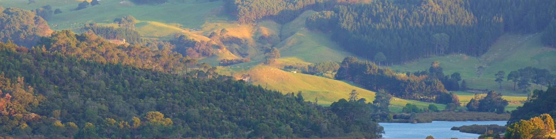 Un pueblo costero con casas junto al agua, rodeado de colinas y bosques densos.