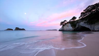 Waikato which includes rocky coastline, a sunset and a bay or harbour