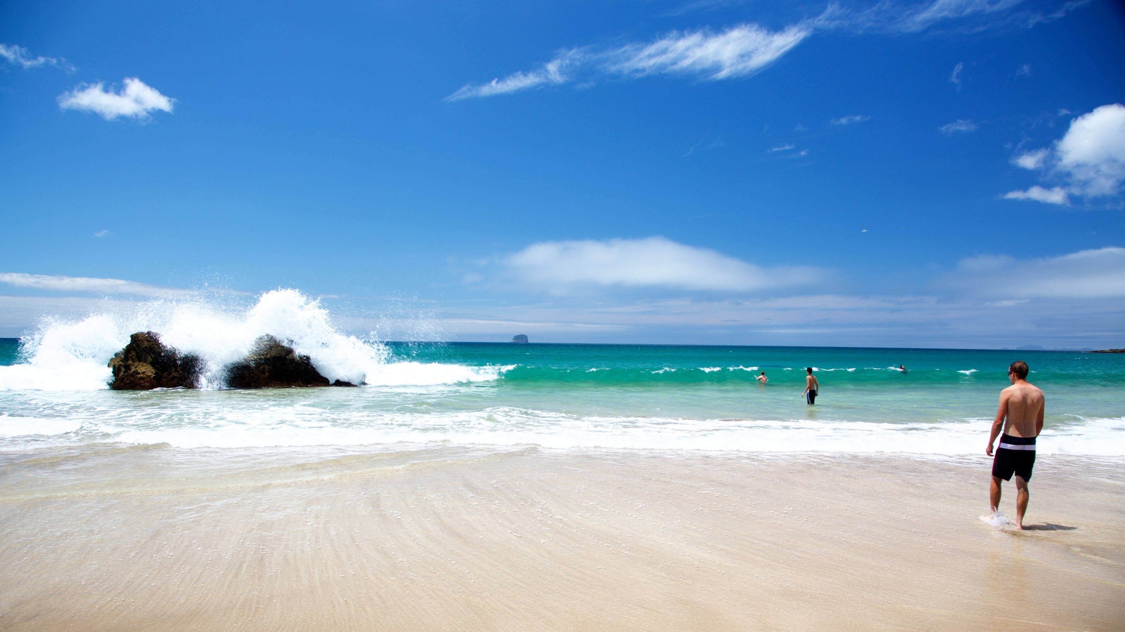 Shakespeare Cliff Lookout featuring a sandy beach, surf and a bay or harbor