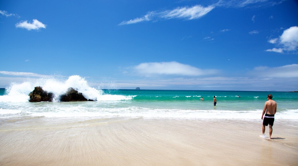 Shakespeare Cliff Lookout featuring a sandy beach, surf and a bay or harbor