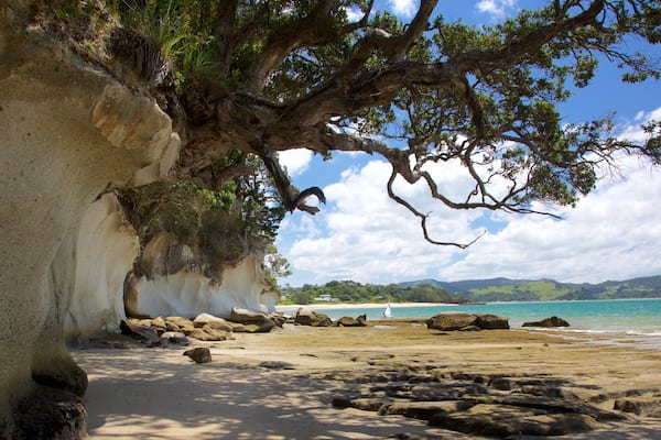 Shakespeare Lookout caracterizando litoral rochoso, uma baía ou porto e uma praia