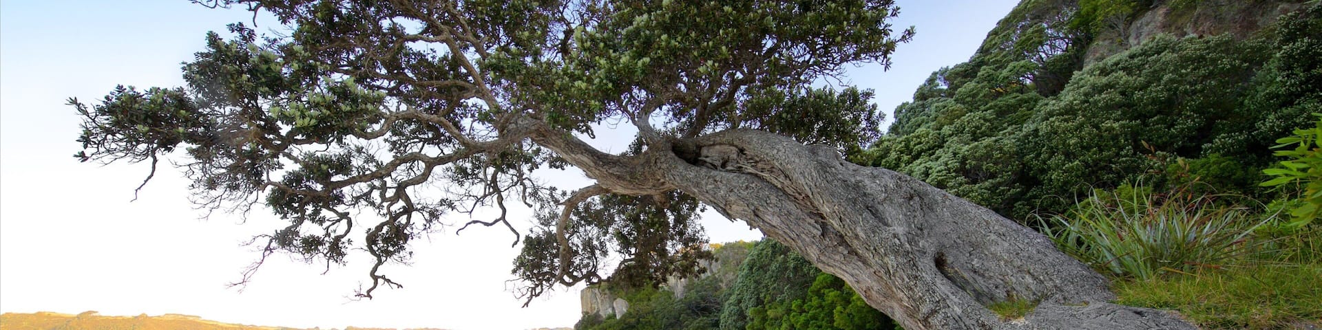Shakespeare Lookout showing a beach and a bay or harbor