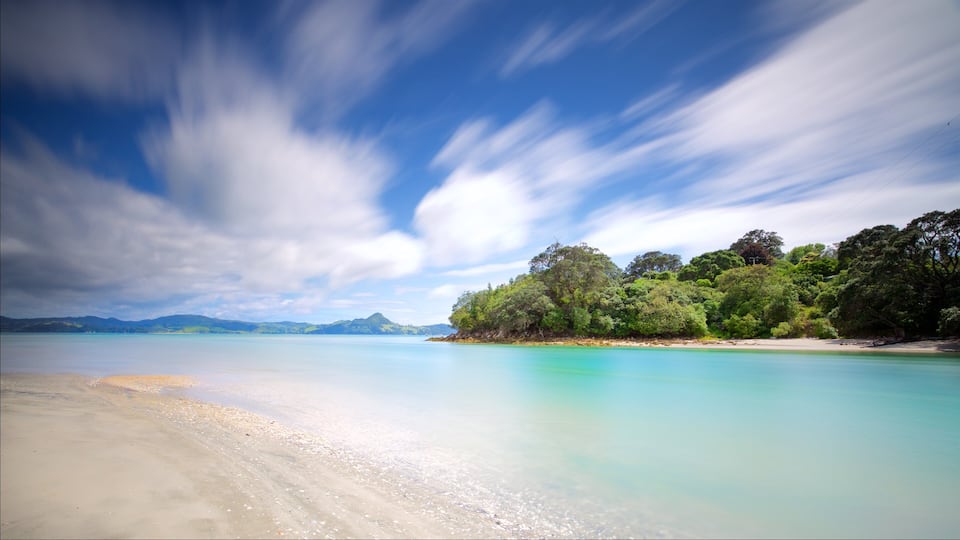A beach with clear turquoise water, a sandy shore, and a forested hill in the background.
