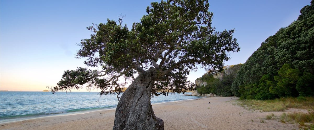 Lonely Bay Beach que incluye una playa, una puesta de sol y una bahía o puerto