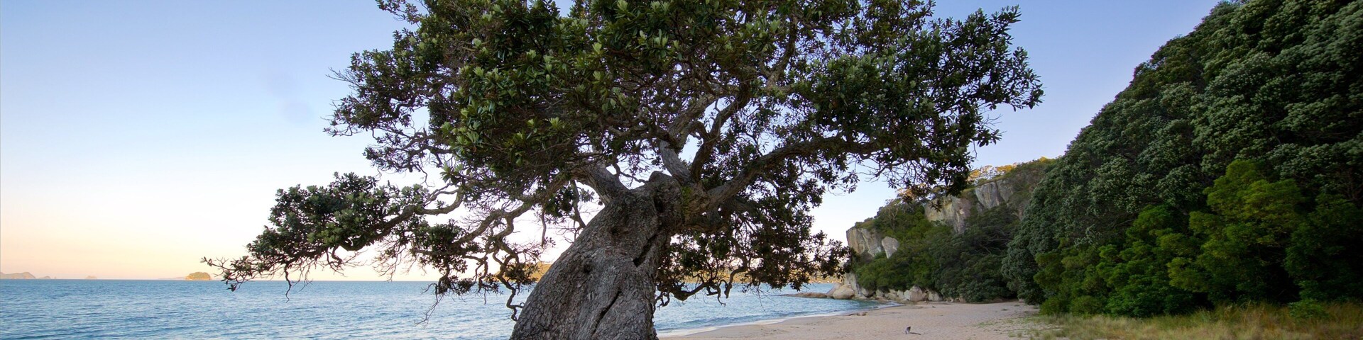 Lonely Bay Beach caracterizando uma baía ou porto, um pôr do sol e uma praia de areia