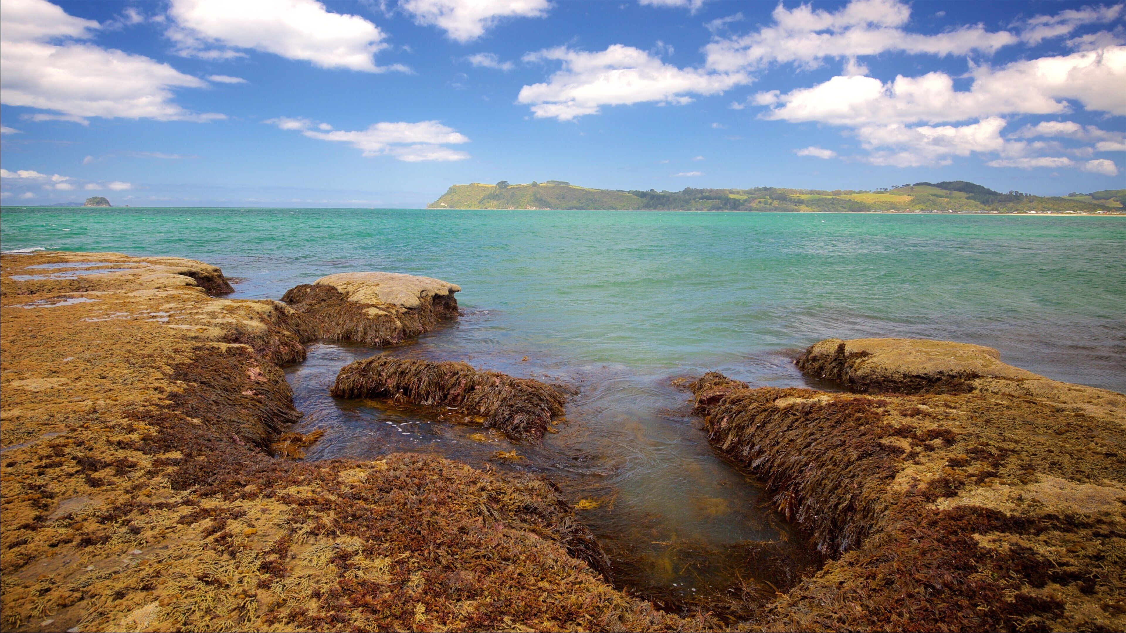 ロンリー ベイ ビーチ フィーチャー 荒々しい海岸線 と 湾岸あるいはハーバー