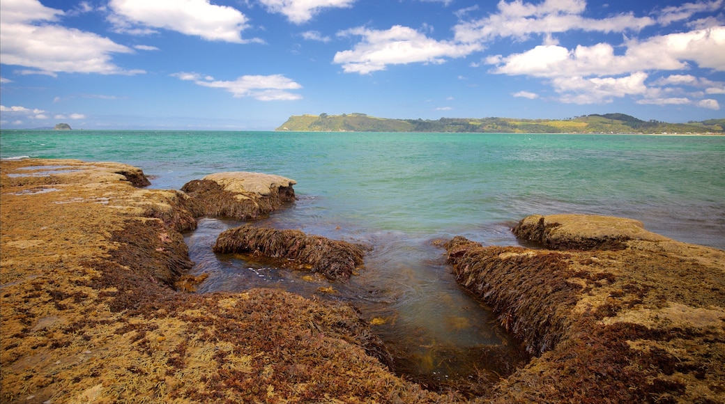ロンリー ベイ ビーチ フィーチャー 荒々しい海岸線 と 湾岸あるいはハーバー