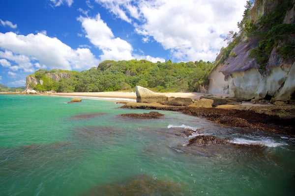 Shakespeare Lookout featuring rocky coastline, a beach and a bay or harbour