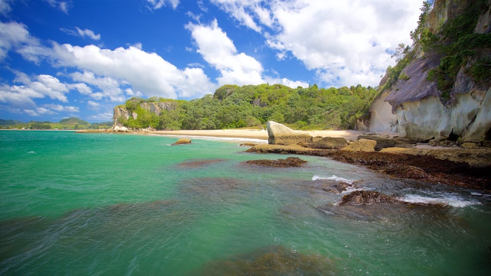 A coastal landscape with clear turquoise waters, a sandy beach, and a rocky cliff with dense greenery.