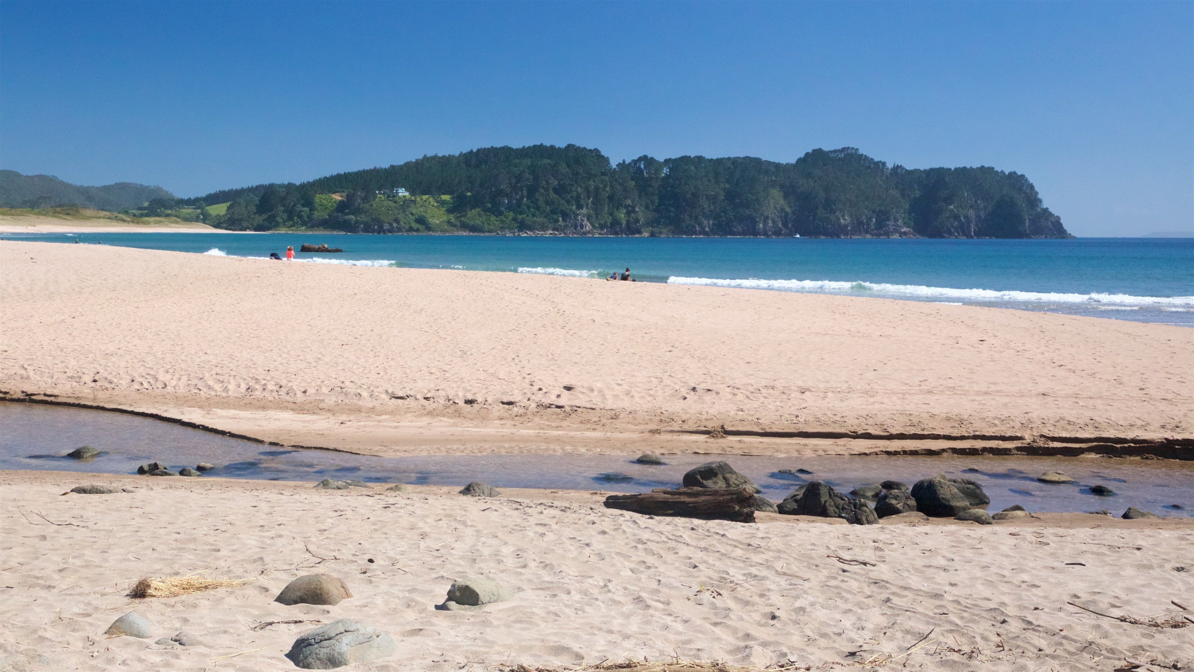 Hot Water Beach showing a sandy beach and general coastal views