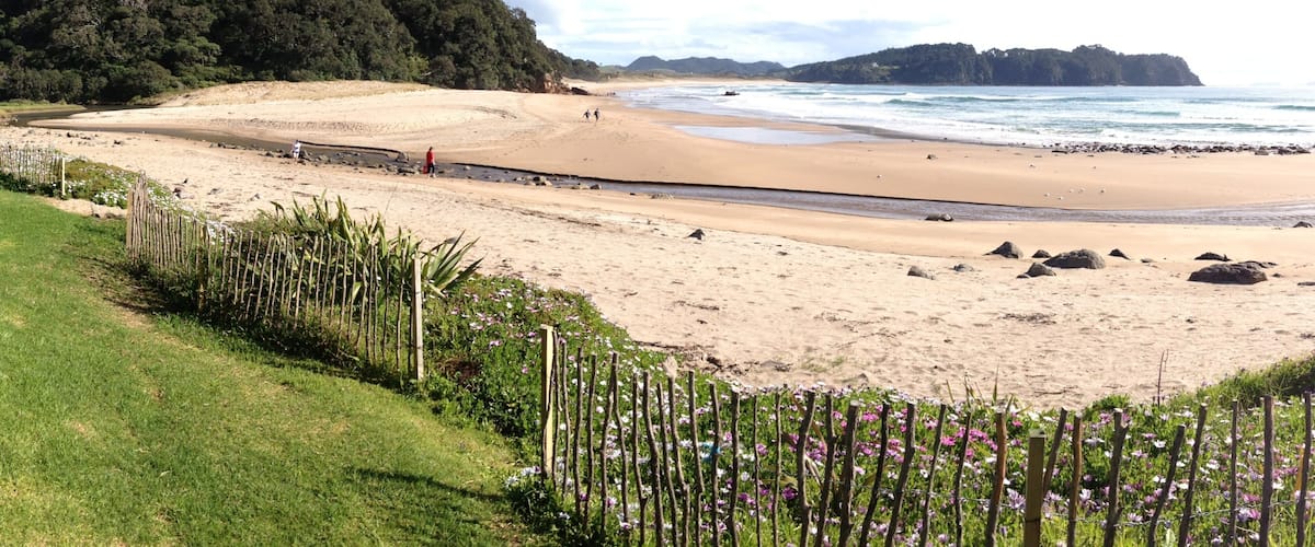 Hot Water Beach showing landscape views, a beach and tropical scenes