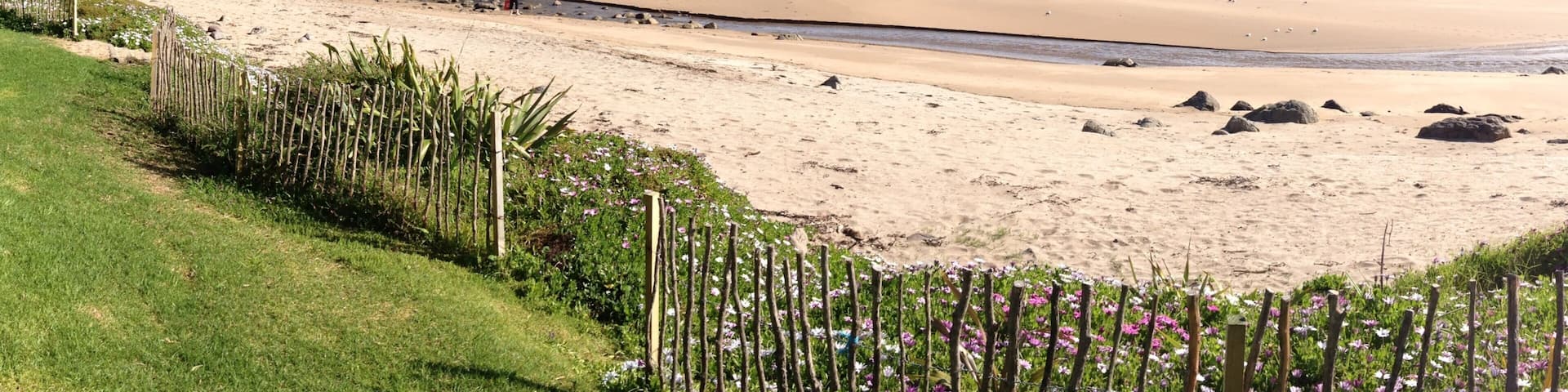Hot Water Beach showing a sandy beach, landscape views and tropical scenes
