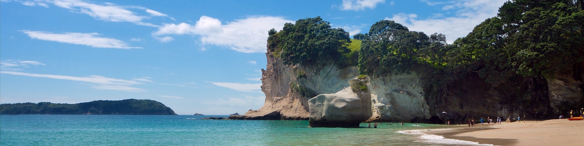 Cathedral Cove showing rugged coastline and a beach