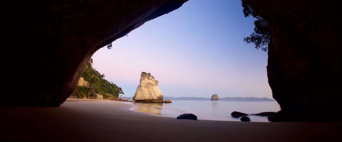 Whitianga Hotel Guide