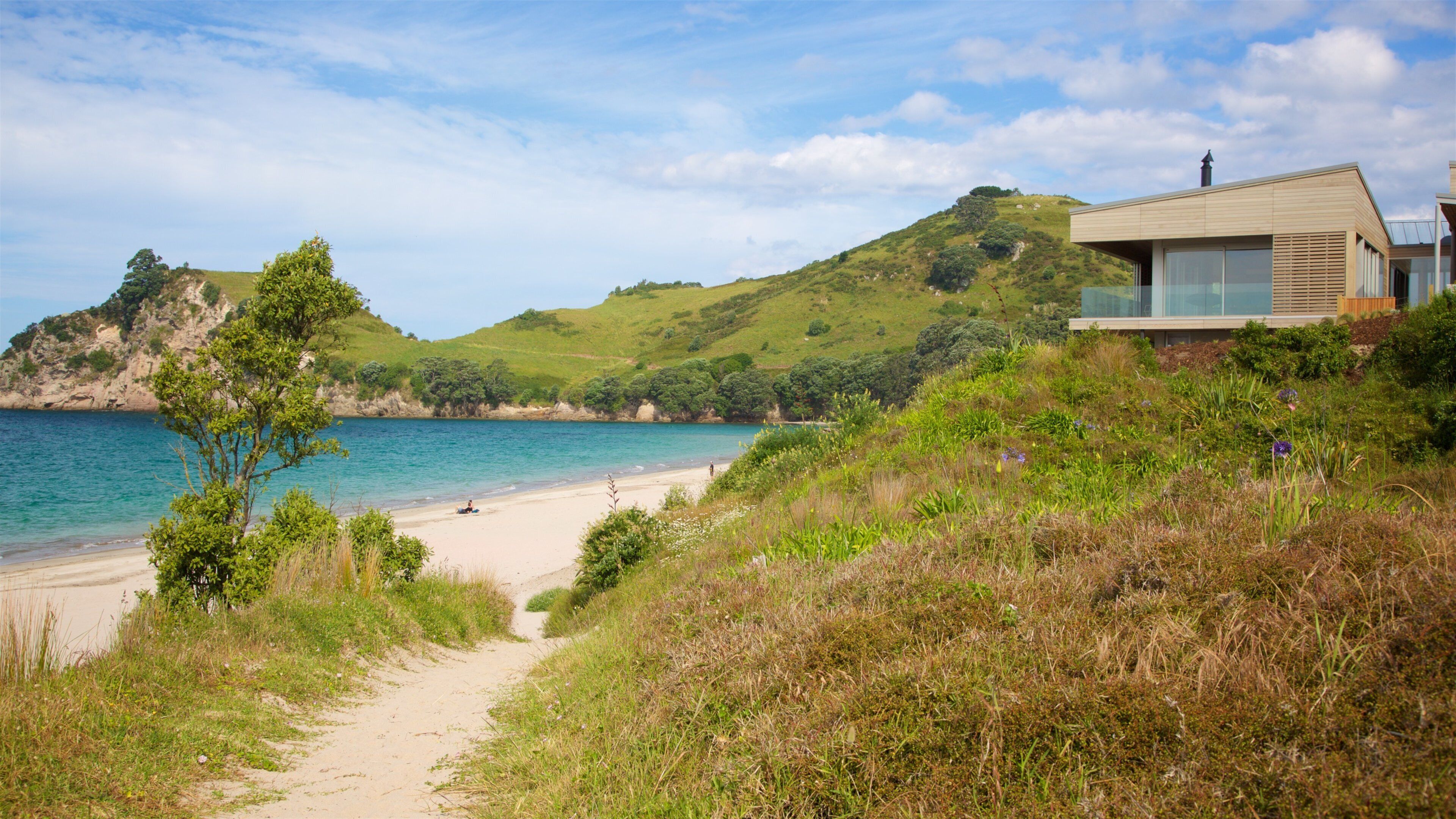 Hahei Beach showing a bay or harbour and a sandy beach