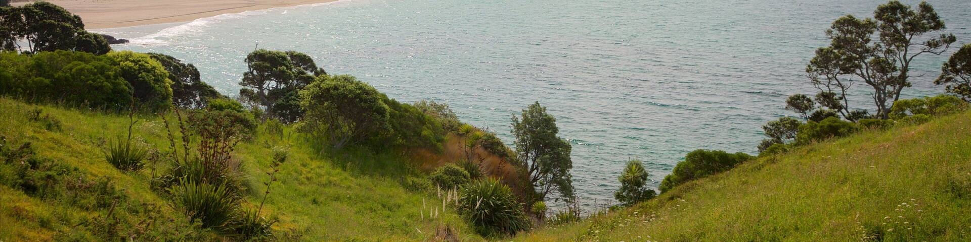 Hahei Beach which includes a beach, a coastal town and a bay or harbor