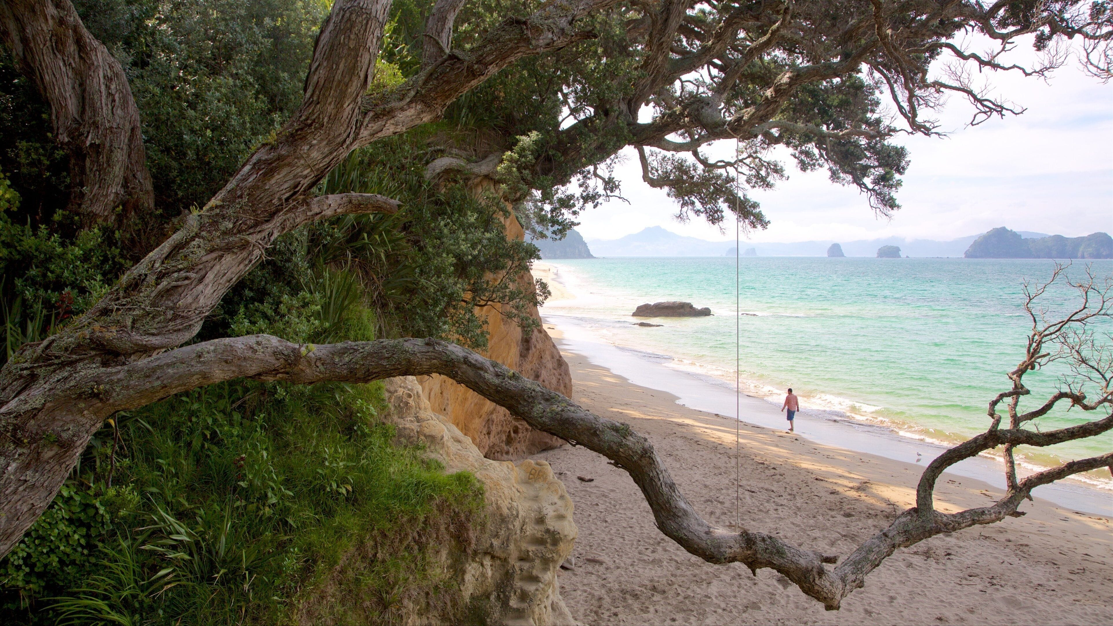 Hahei Beach som viser sandstrand og bukt eller havn