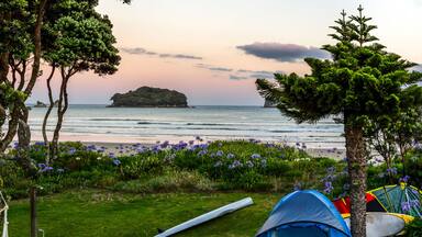 Beautiful sunset at Whangamata beach, North Island, New Zealand.