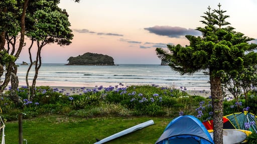 Beautiful sunset at Whangamata beach, North Island, New Zealand.