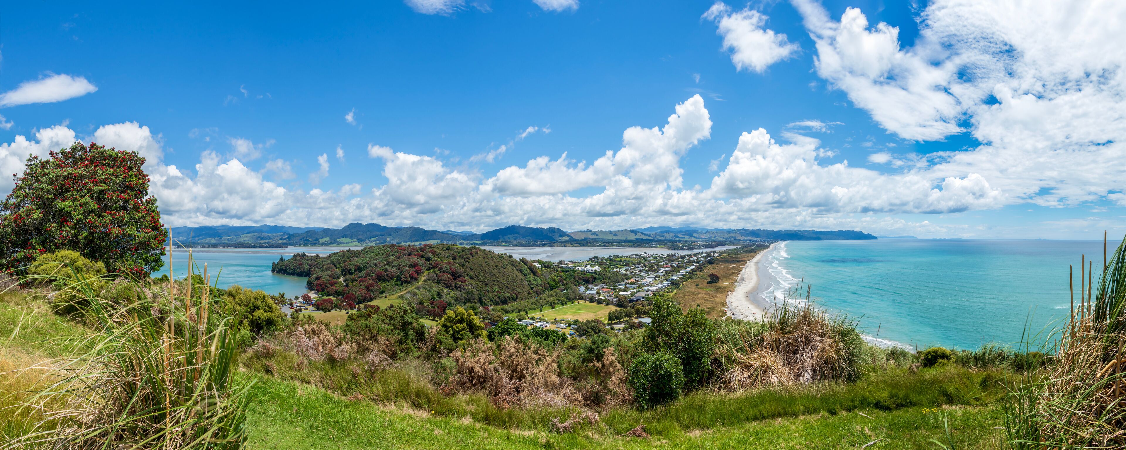A coastal landscape with a beach, forested hills, and a clear blue sky.