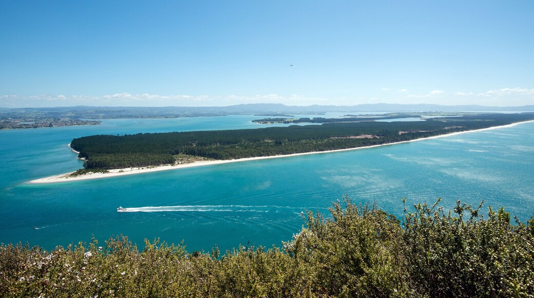 Matakana Island seen from the Mount Maunganui, New Zeland