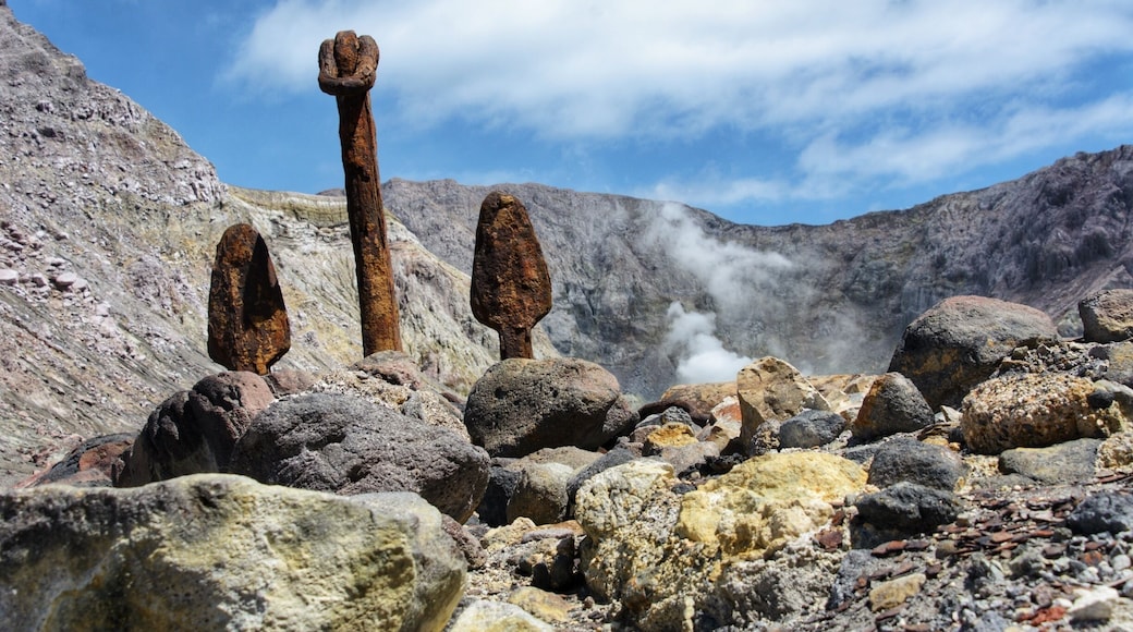 White Island Volcano!