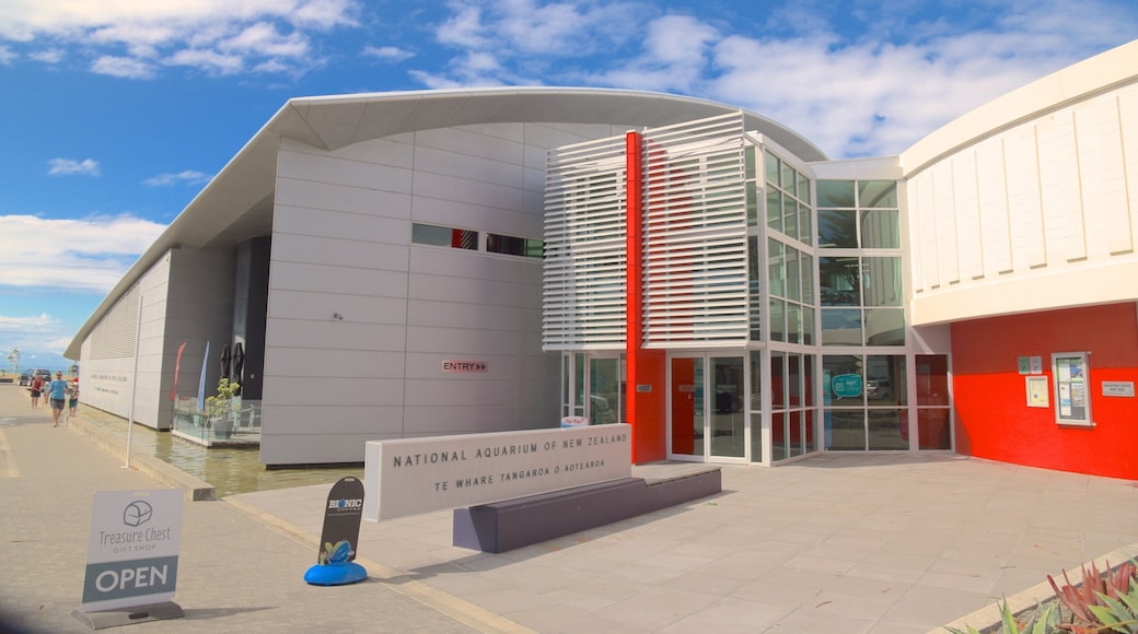 National Aquarium of New Zealand som omfatter livet i havet