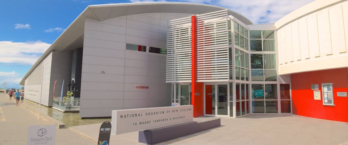 National Aquarium of New Zealand featuring marine life