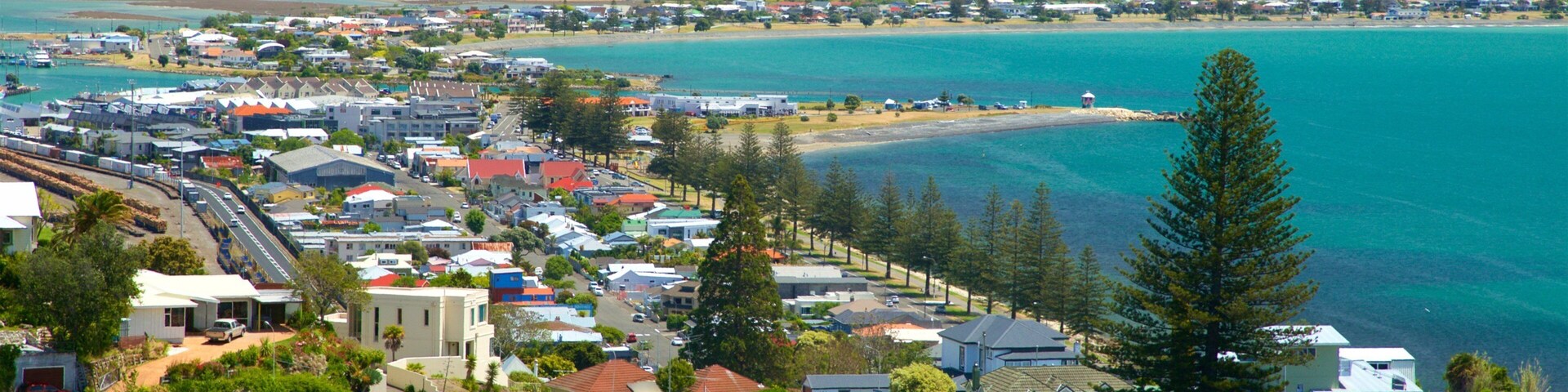 Bluff Hill Domain Lookout ofreciendo vistas panorámicas, un pueblo y situaciones tranquilas