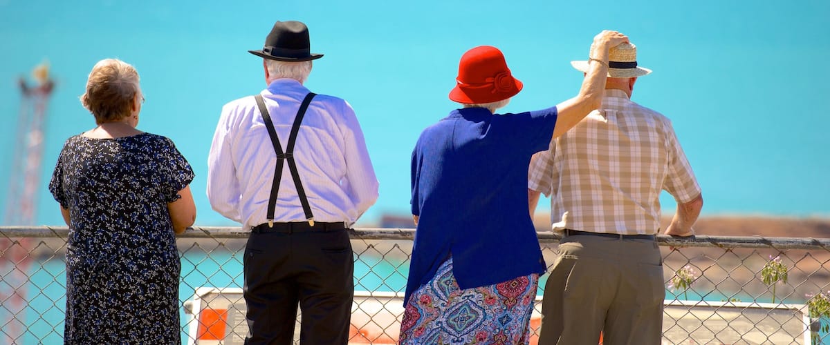 Bluff Hill Domain Lookout showing general coastal views as well as a small group of people