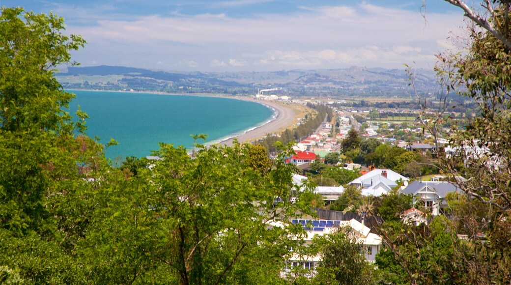Bluff Hill Domain Lookout which includes a coastal town and general coastal views