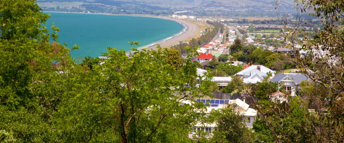 Bluff Hill Domain Lookout toont een kuststadje en algemene kustgezichten