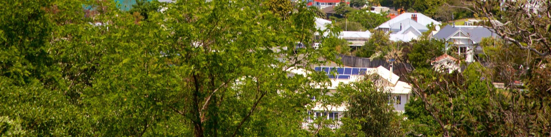 Bluff Hill Domain Lookout which includes general coastal views and a coastal town