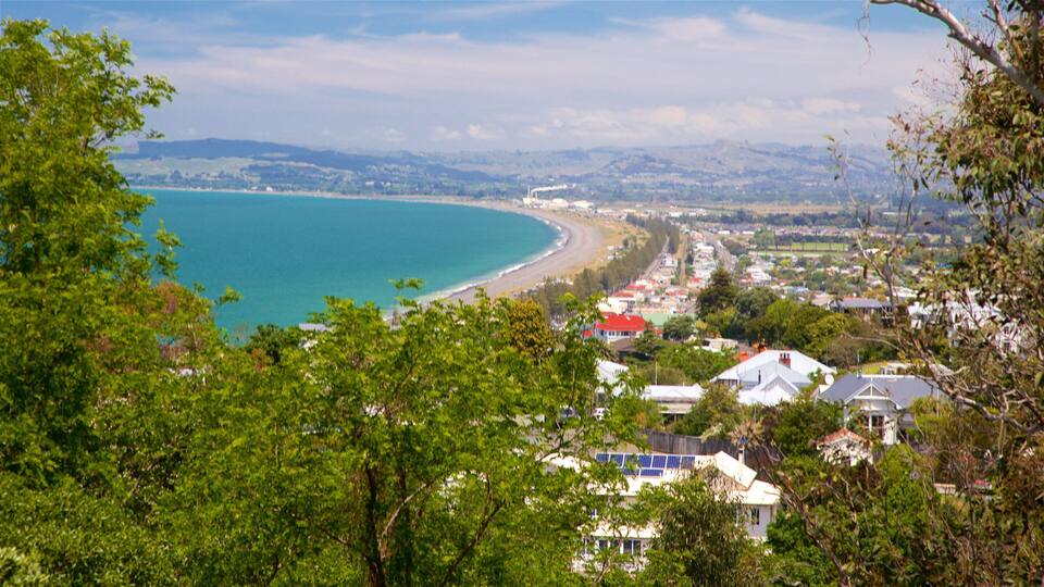 Bluff Hill Domain Lookout which includes general coastal views and a coastal town
