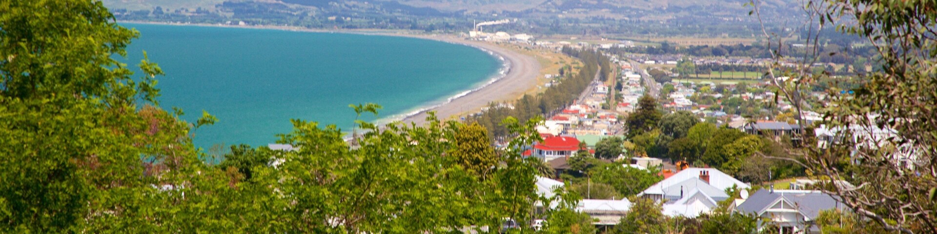 Bluff Hill Domain Lookout which includes general coastal views and a coastal town