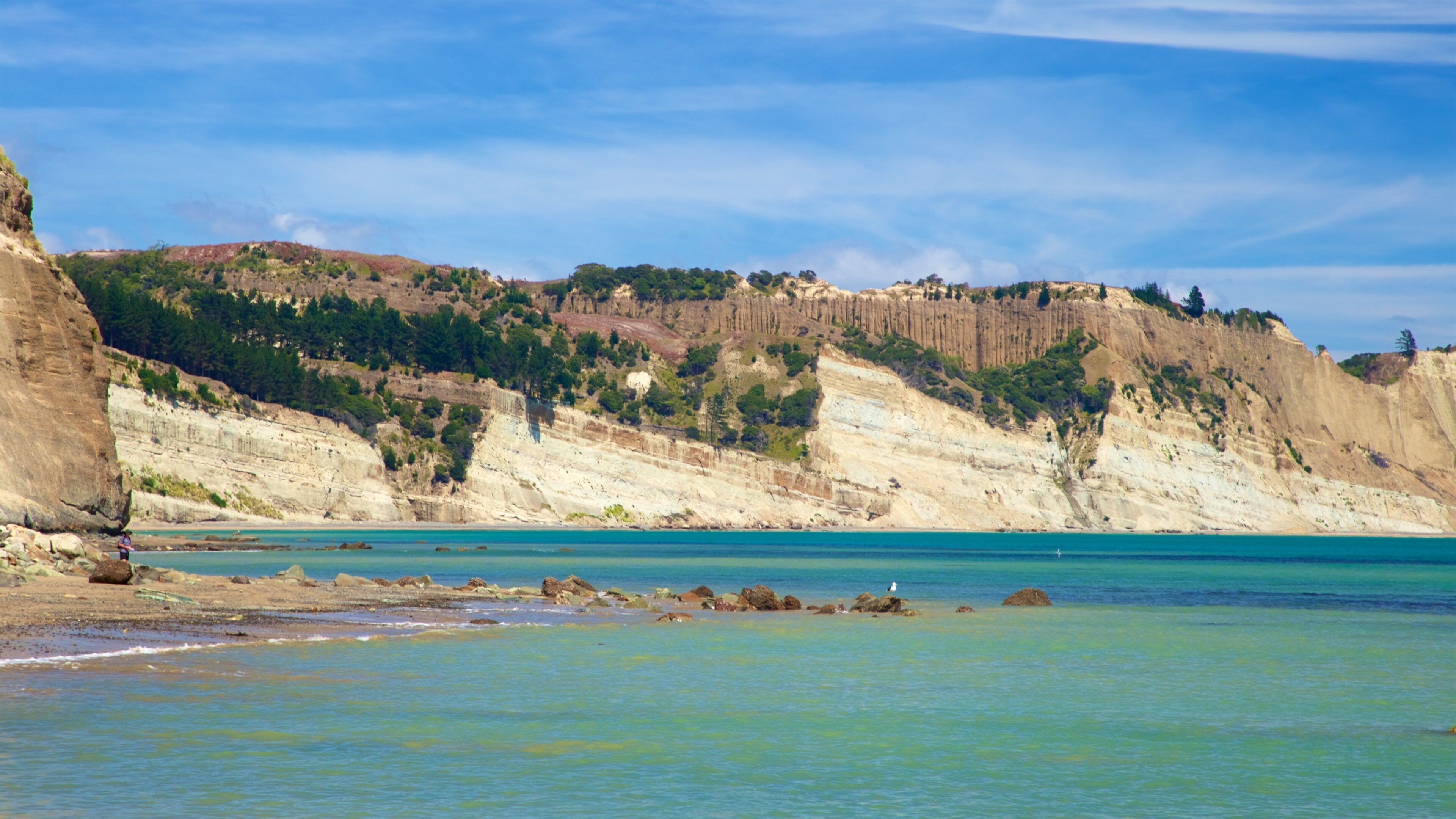 Cape Kidnappers mettant en vedette côte rocheuse et vues littorales