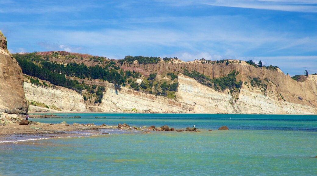 Cape Kidnappers mettant en vedette cĂŽte rocheuse et vues littorales